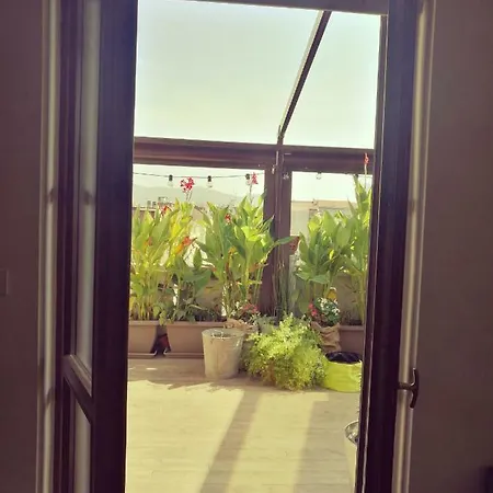 Floorplan B - 208 Turin