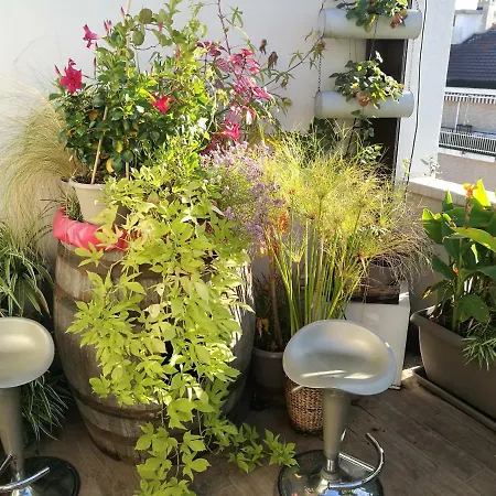 アパート Floorplan B - 208 トリノ